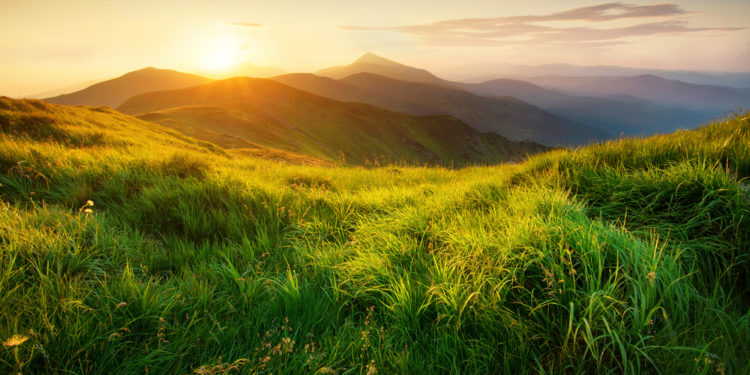 A beautiful story about nature with a moral to remember