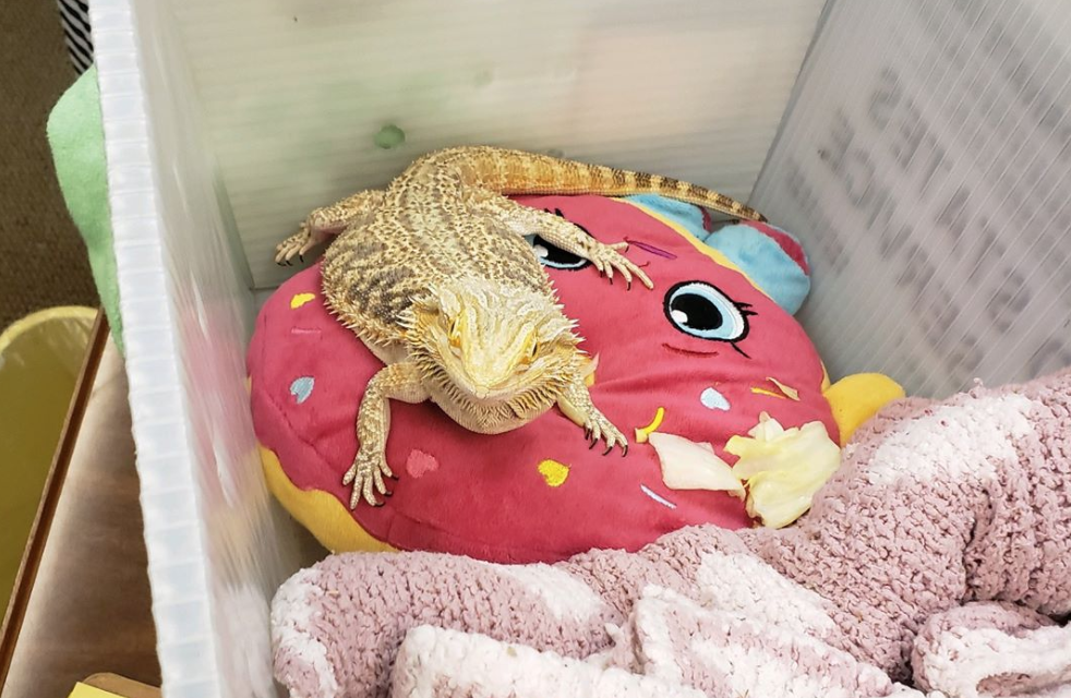 Facebook / Bay District Schools