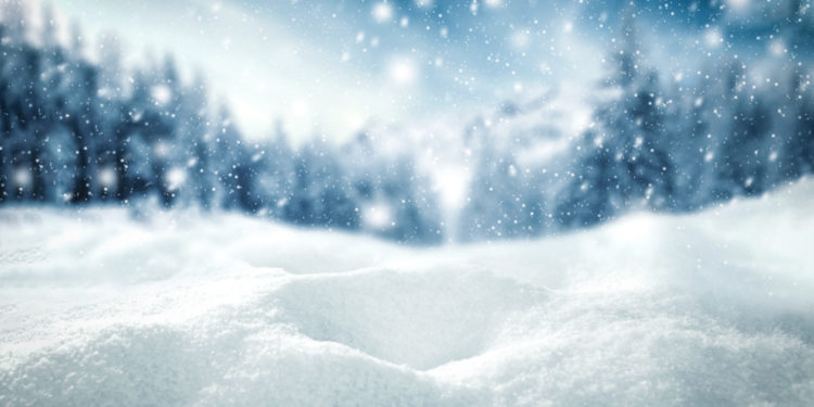 What is the anatomy of snow?